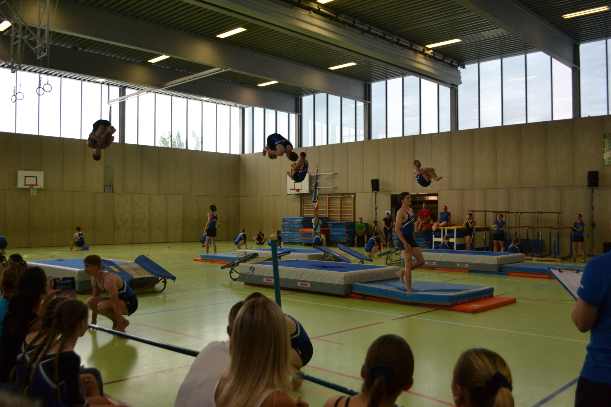 Bild (79)